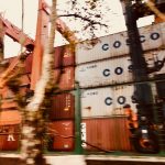 ¿Qué hay dentro de un container?