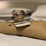 ¿Bullet Journal o Commonplace Book?
